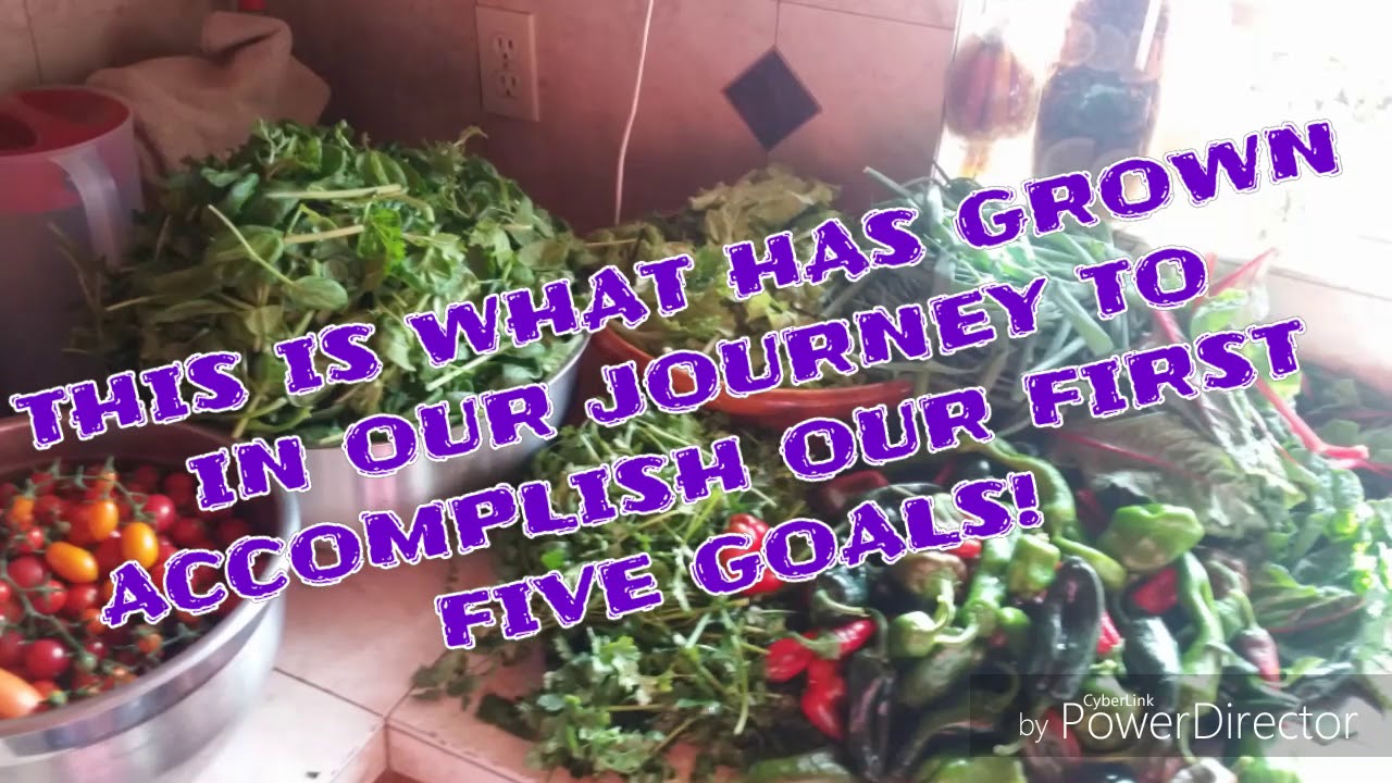 Greenhouse or WALIPINI part 2(THE ULTIMATE WALIPINI )