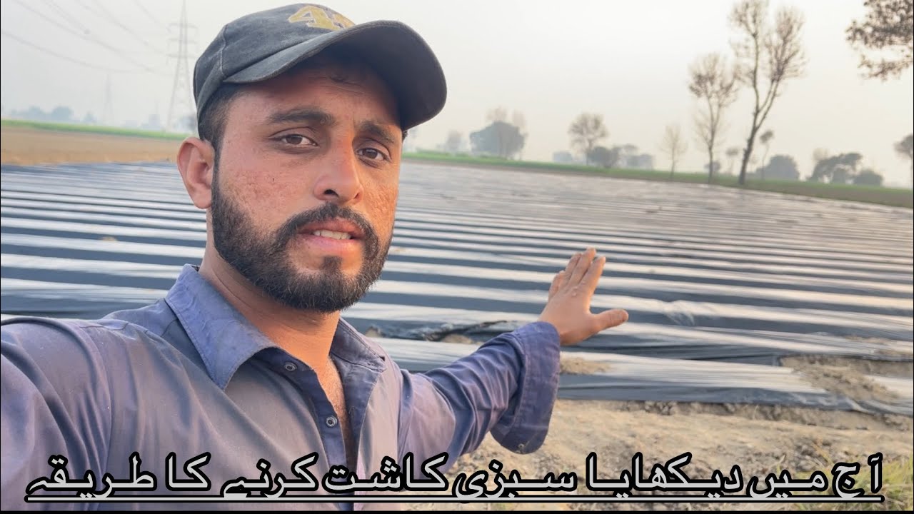 آج ہم نے سبزی کاشت کرنے کا طریقہ دیکھایا 