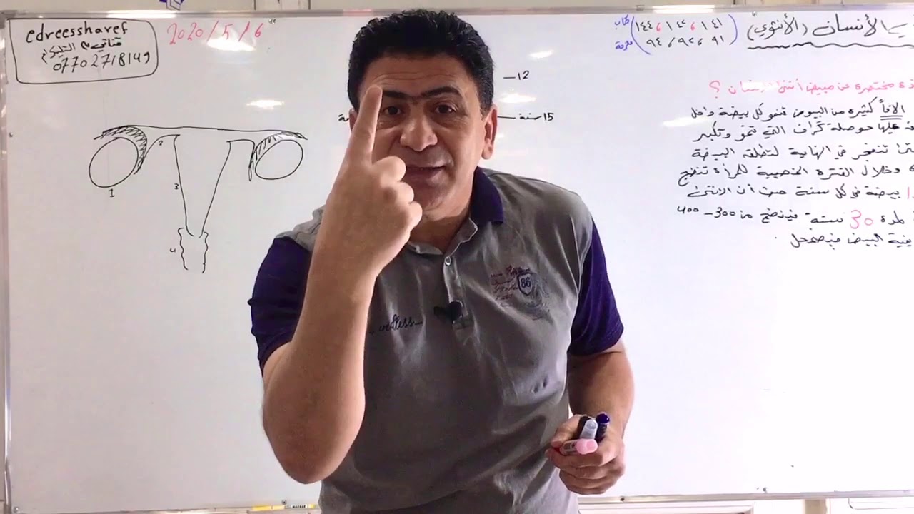 الفصل الثالث التكاثر(التكاثر في الانسان-الجهاز التناسلي الانثوي) محاضرة 24