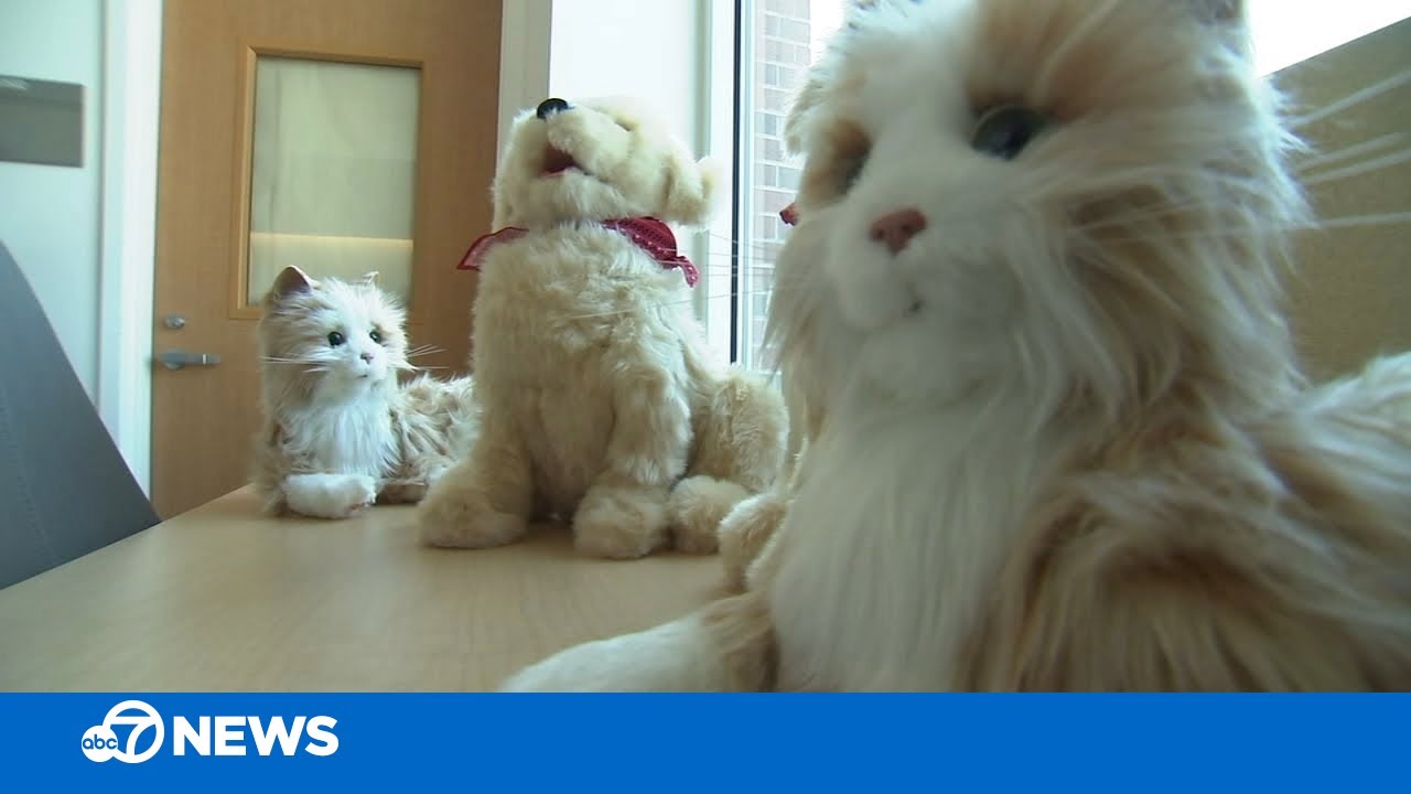 Robotic pets at SF General Hospital bring comfort to the elderly