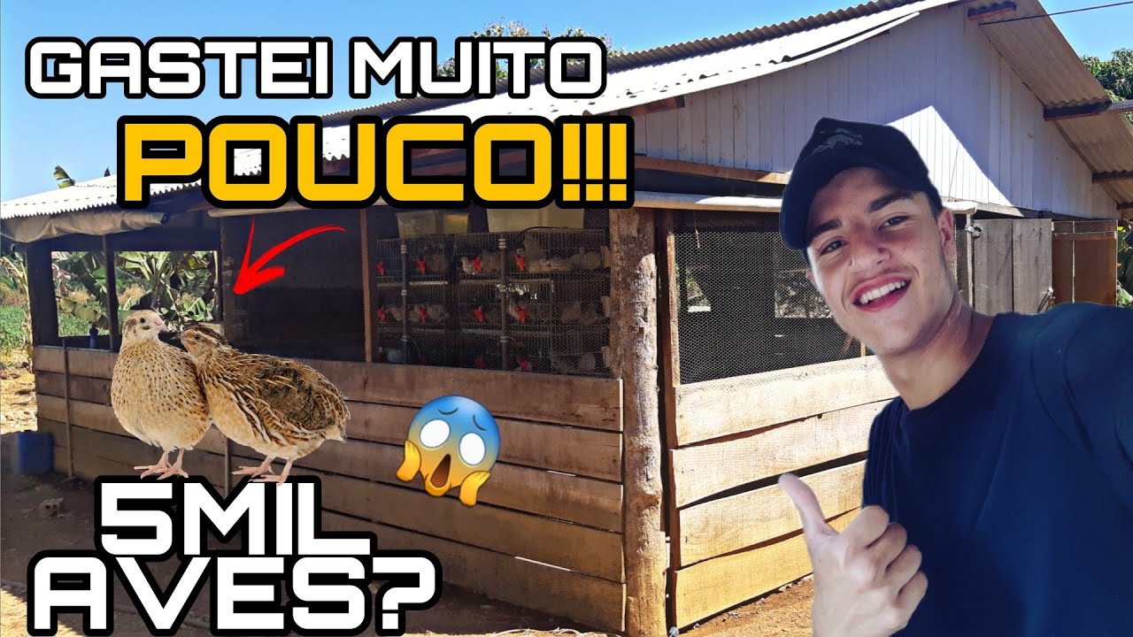 COMO CONSTRUIR UM GALPÃO SIMPLES E FUNCIONAL PARA CODORNAS GIGANTES!!!!