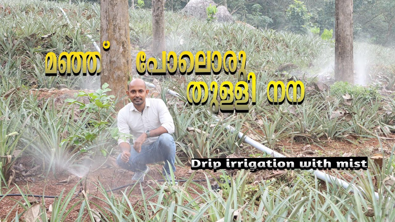 Drip irrigation for farms | misting detailed video  malayalam