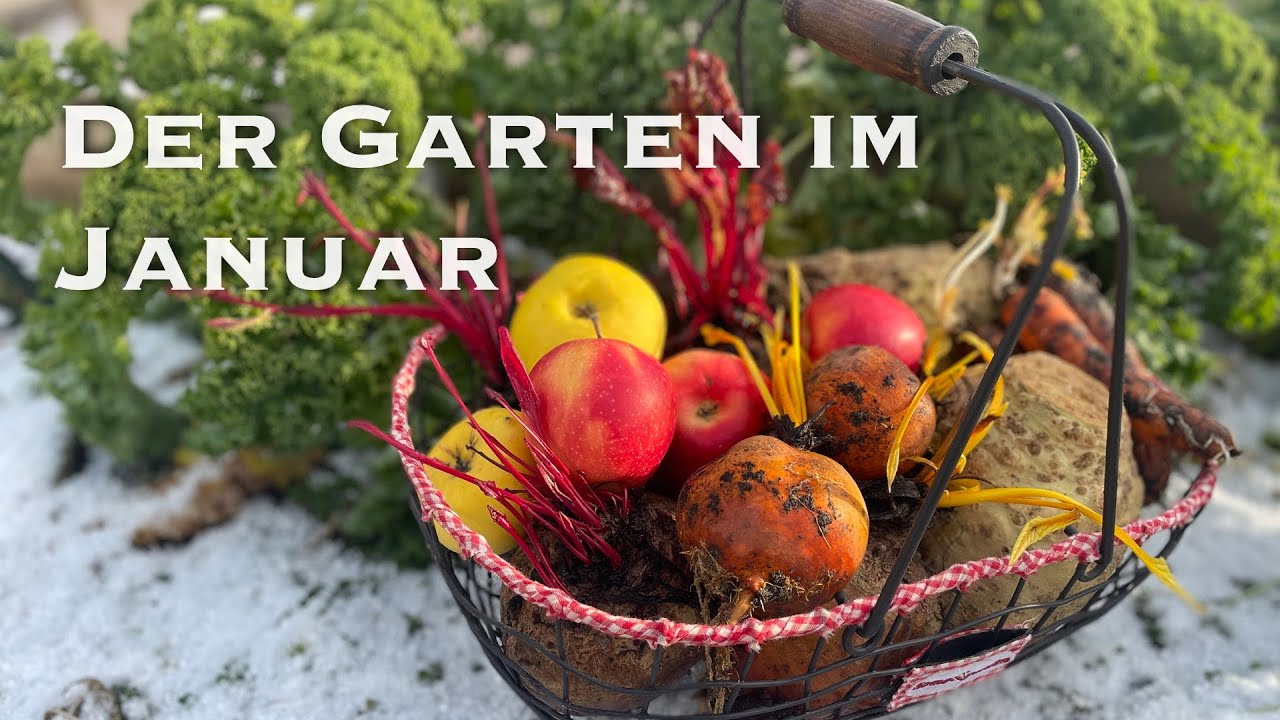 #21 Der Garten im Januar, erste Aussaaten, leckere Winterk&uuml;che, Wintergem&uuml;se