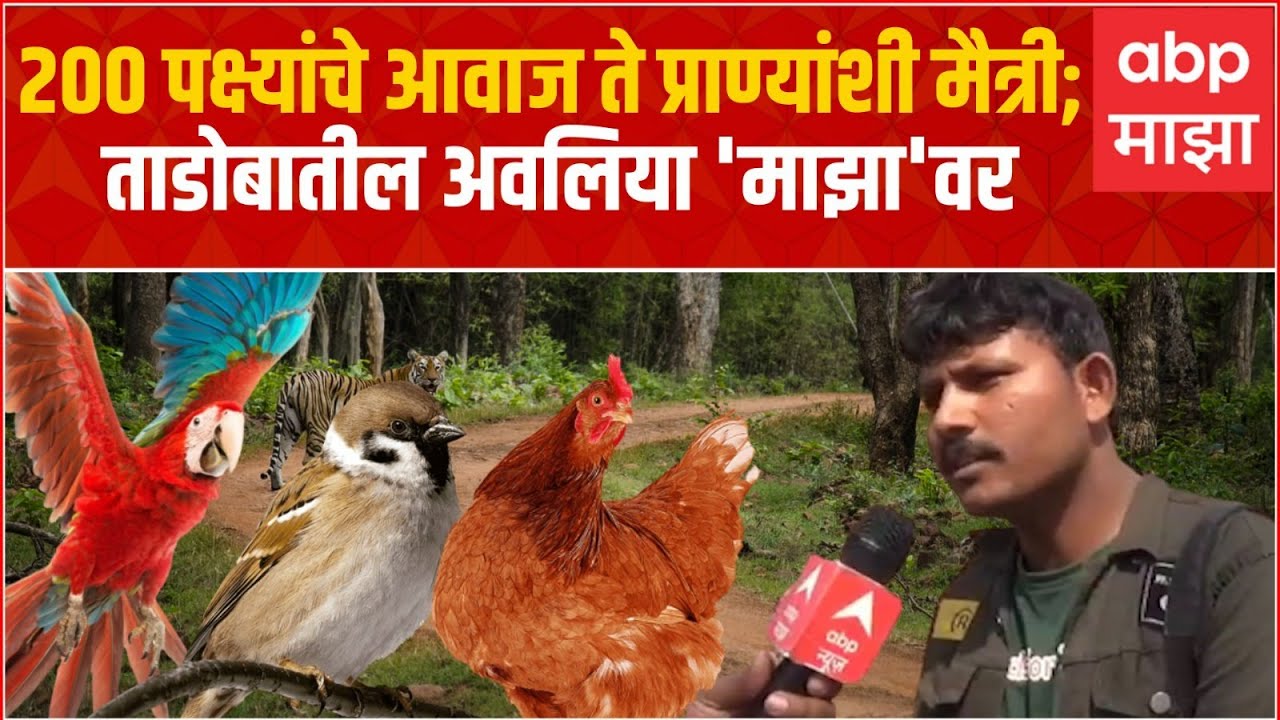 Voice Artist 200 Birds : 200 पक्ष्यांचा आवाज Sumedh Bodhi Waghmare आवाजाचा जादूगार 'माझा'वर
