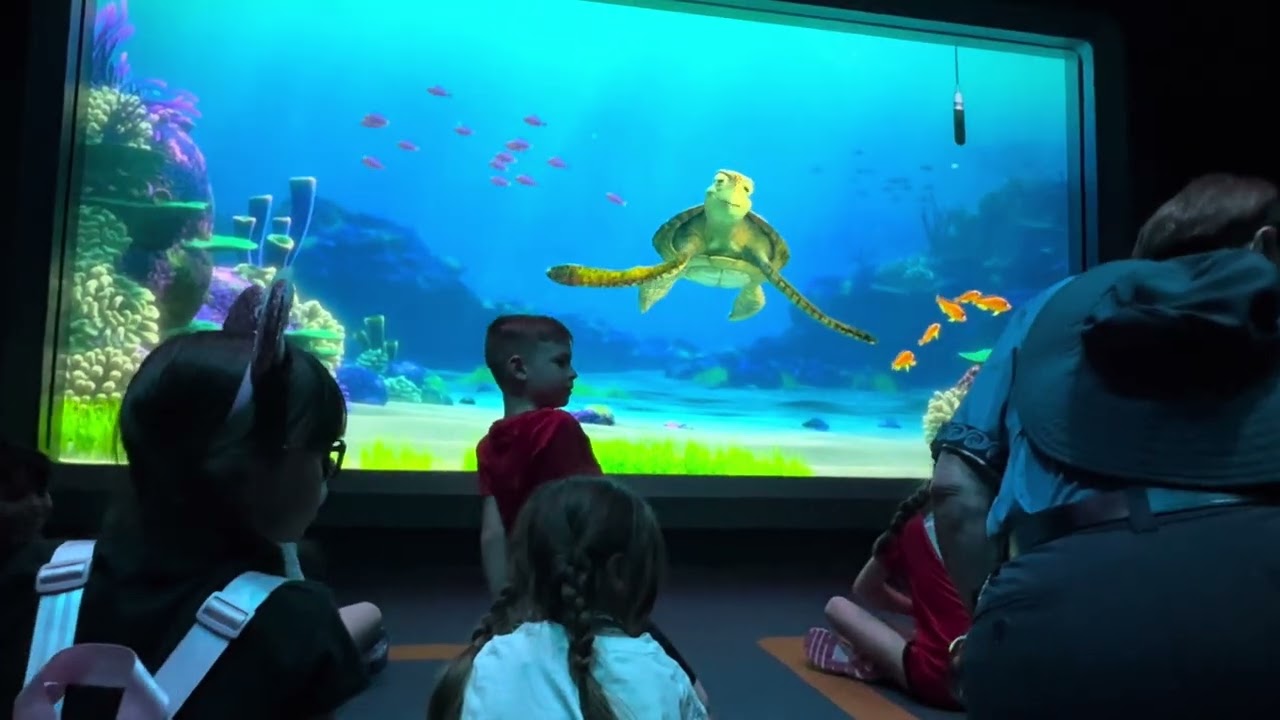 Turtle Talk with Crush