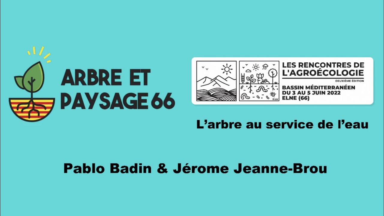 L'arbre au service de l'eau, Pablo Badin & Jérôme Jeanne-Brou
