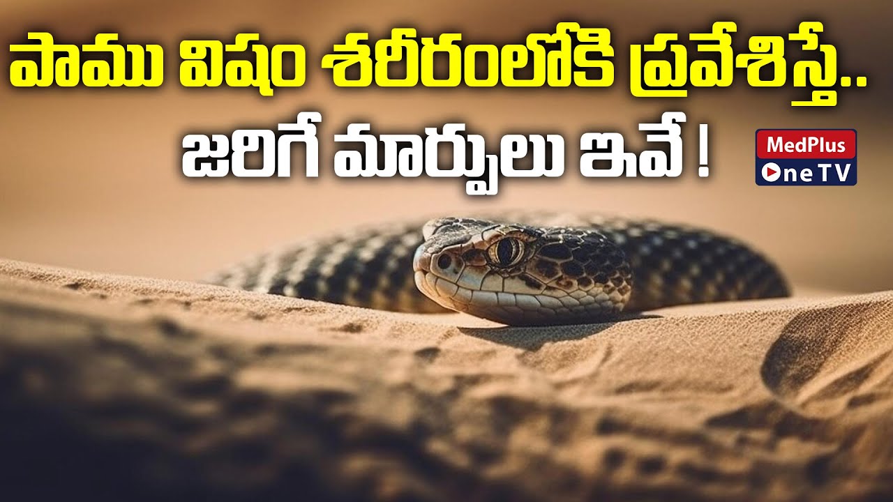 Snake Bite : Common Symptoms | Dr.Sudarshan Reddy @MedPlusONETV