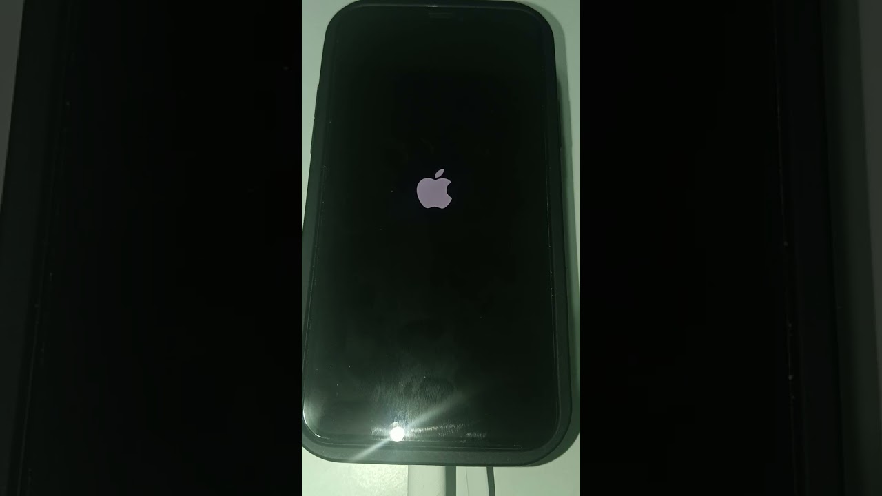 IPhone 11 Pro IOS 27.0 Developer Beta 4 Software Update