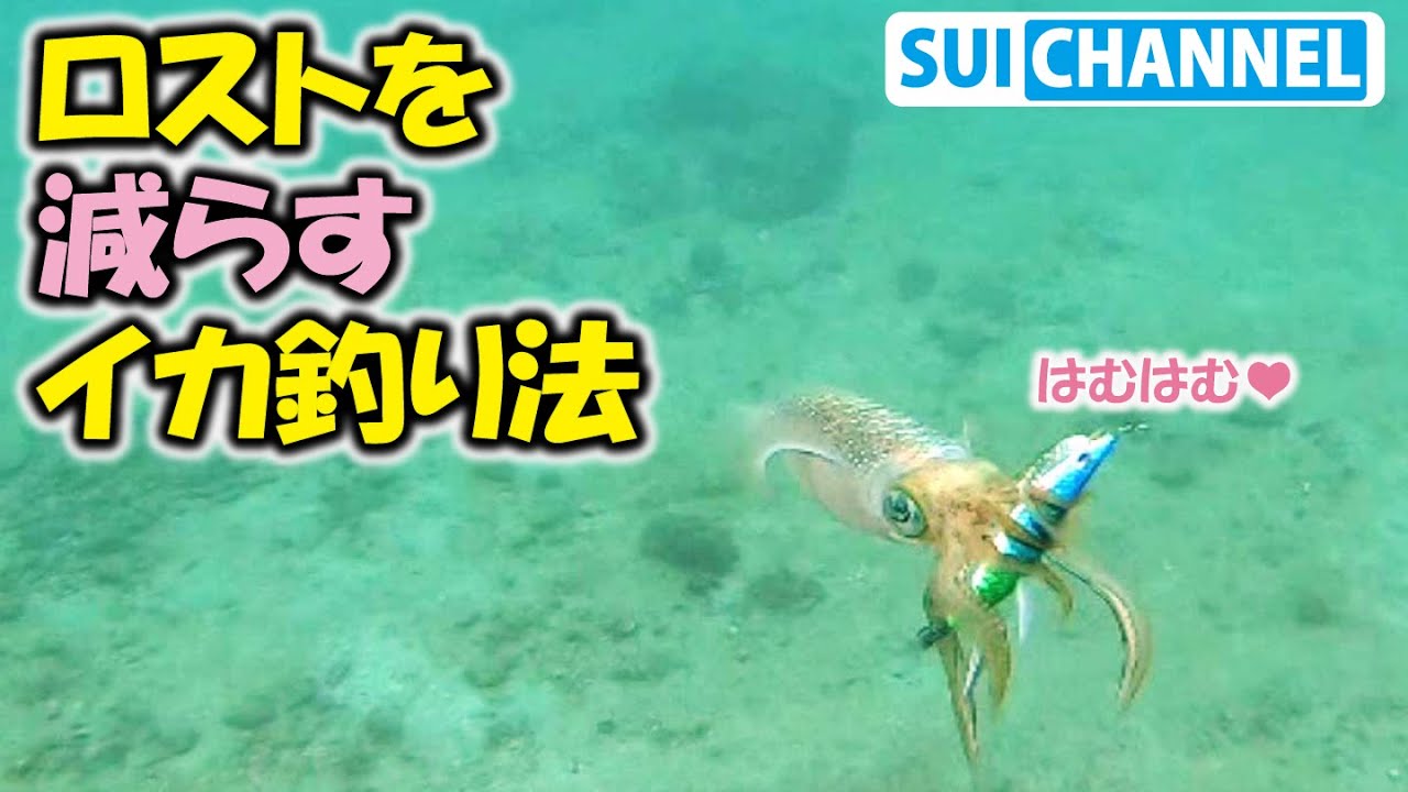 エギングで根掛かりやロストする仕組みを水中解説！Find out why squid fishing lures snag