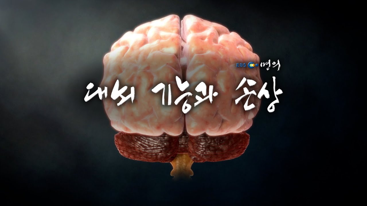 [명의 의학백과📖] 대뇌 기능과 손상