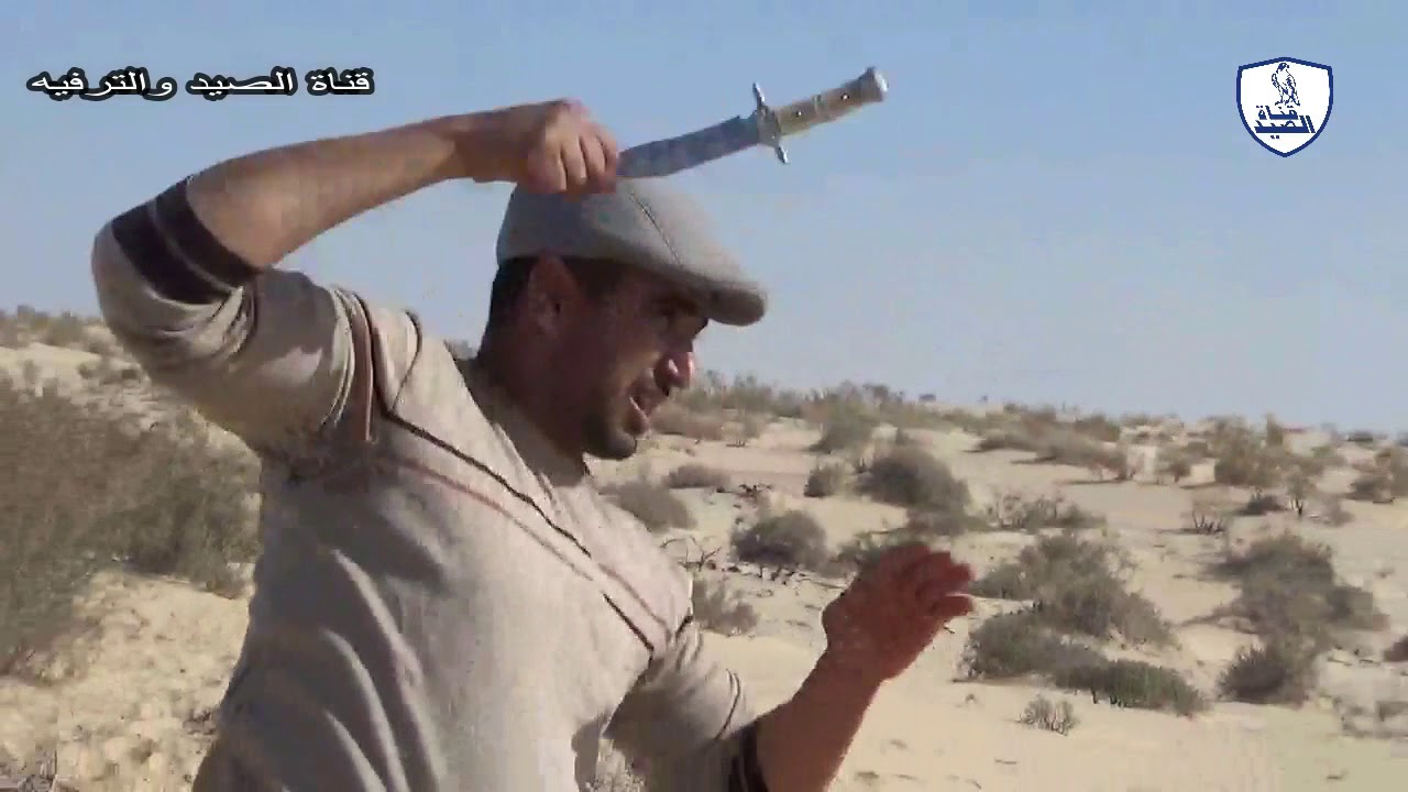 تعلم طريقة رمي السكين/How to throw a knife