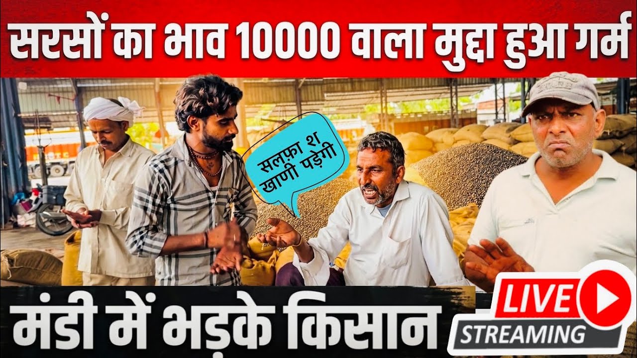 सरसों के भाव से मंडी में भड़के किसान | sarso ka bhav today | Mustard prises today