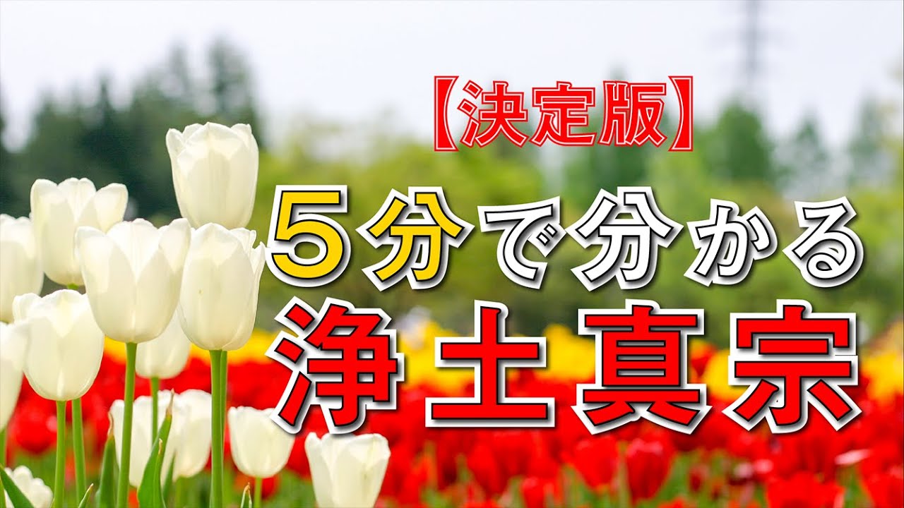 浄土真宗とは　５分で分かる浄土真宗の動画｜浄土真宗 親鸞会
