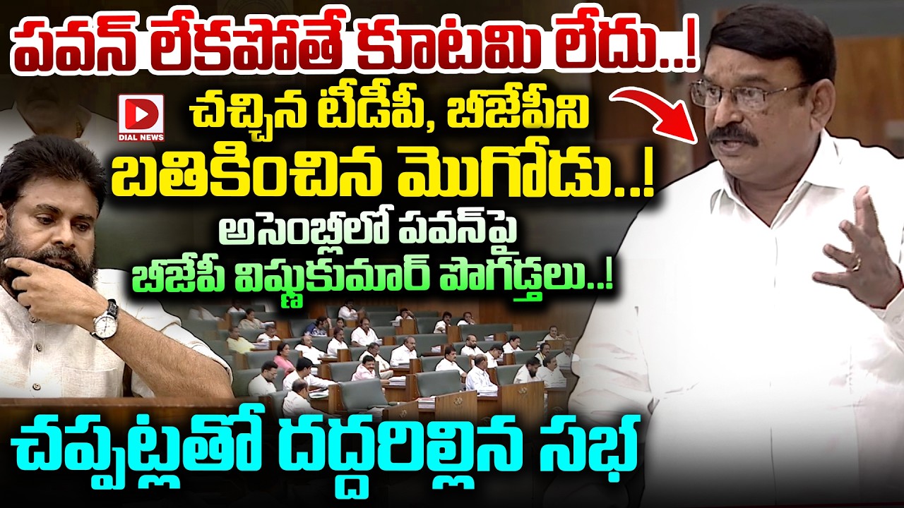 పవన్ లేకపోతే కూటమి లేదు..! BJP MLA Vishnukumar Great Words About Deputy CM Pawan Kalyan in Assembly