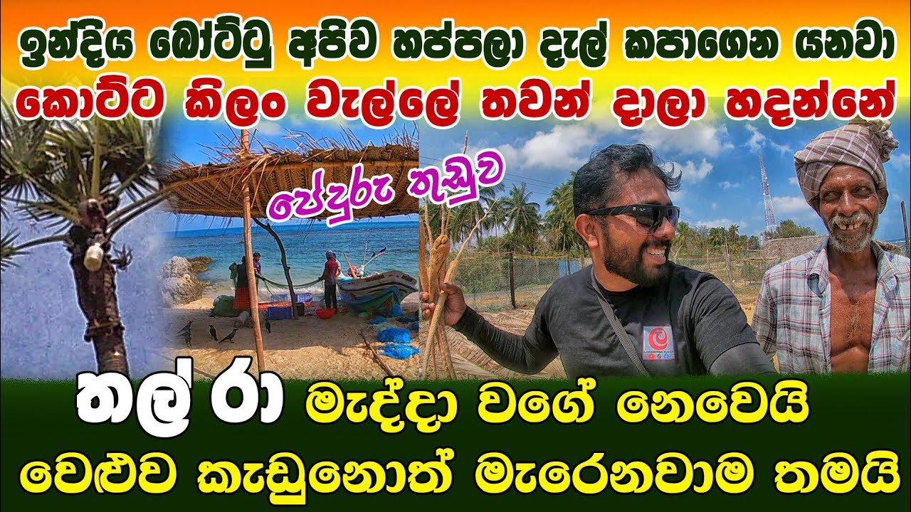 පේදුරු තුඩුවෙ තල් රා |ඉන්දිය බෝට්ටු අපේ බෝට්ටු හප්පනවා දැල් කපනවා | කොට්ට කිලං වැල්ලෙ හදන්නෙ මෙහෙම