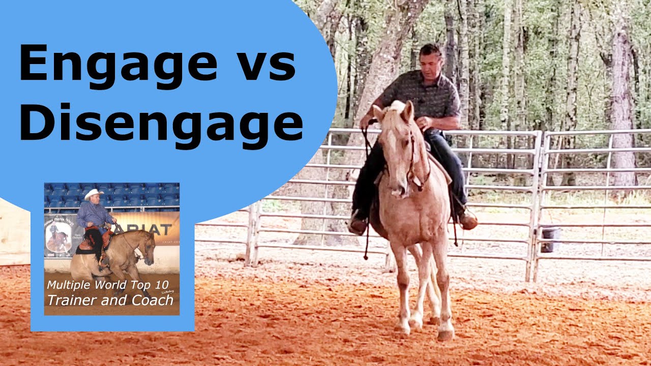 I never disengage a horse