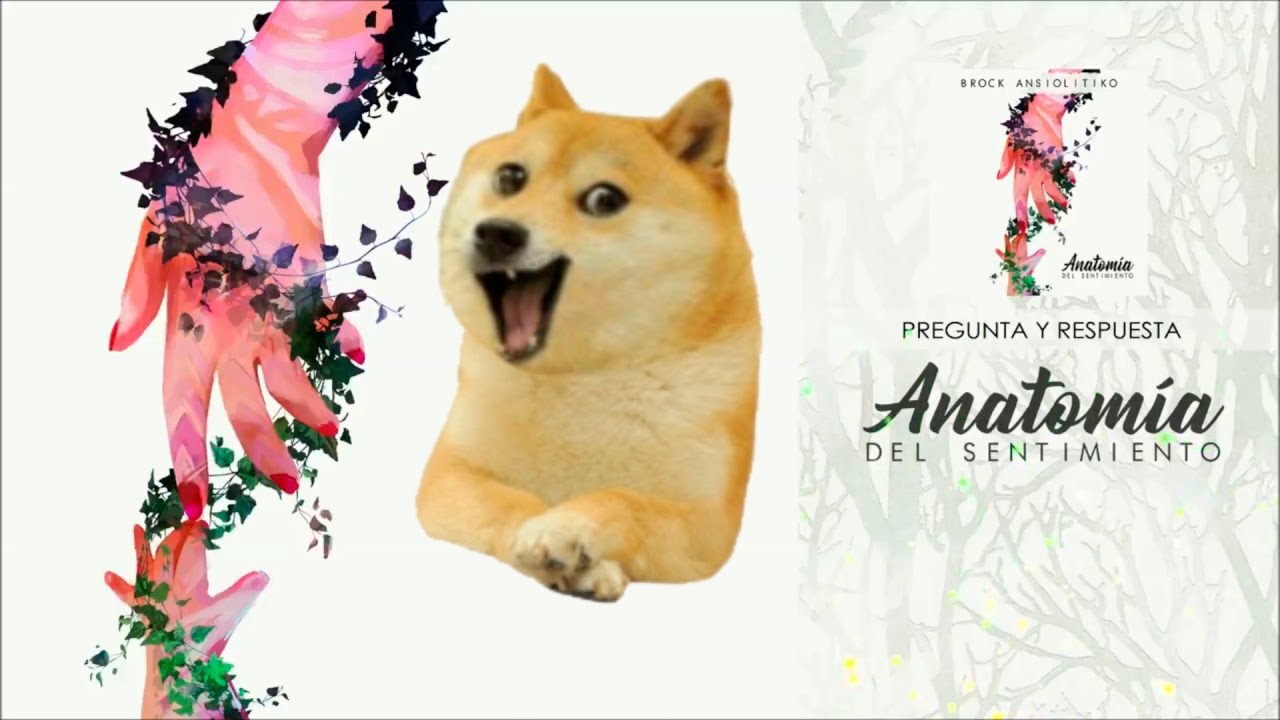 Me encanto... Perro reacción a Brock Ansiolitiko (feat Clara) PREGUNTA Y RESPUESTA