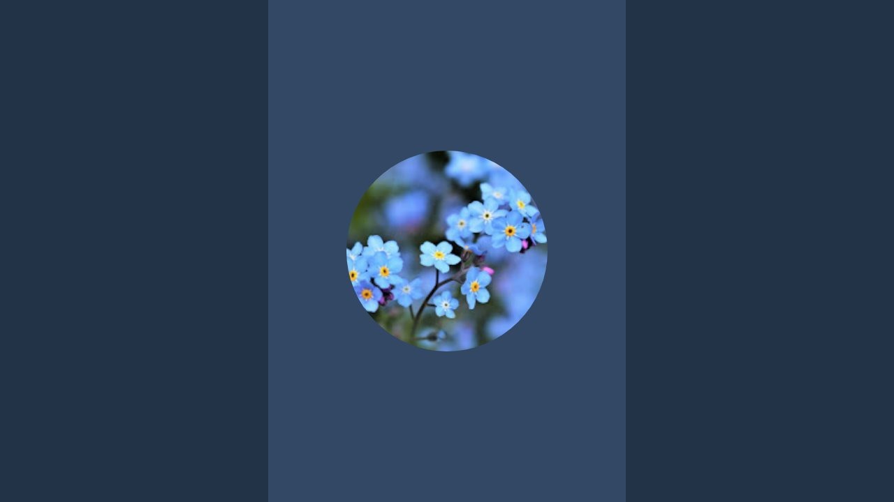 Bhakti Sagar & Gardening ideas is live
