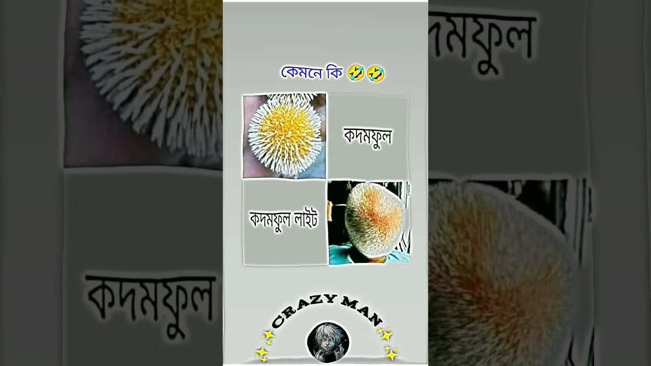 #funny #trxnewapp #কcomedy #musicgenre #sab #newmusic #comedy #naymarskills #unfrezzmyaccount