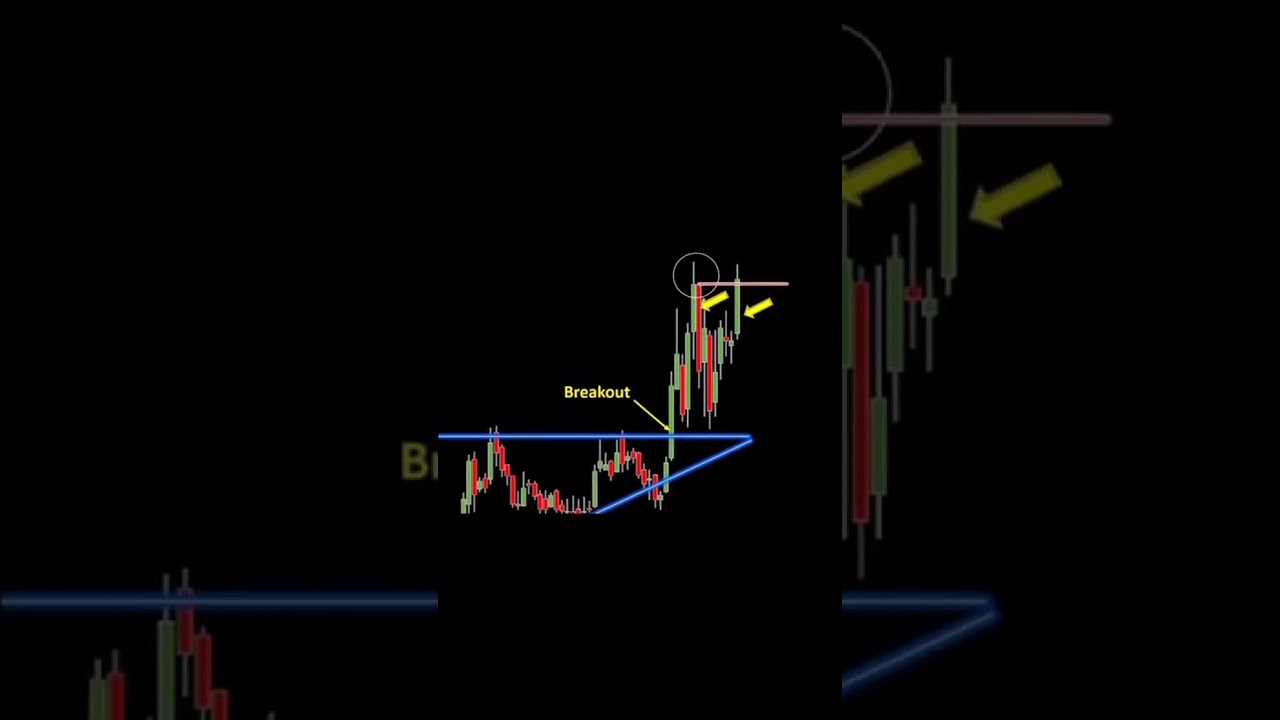 #2023 online income #best money-making website #TRX high-income website #USDT free collection #USDT