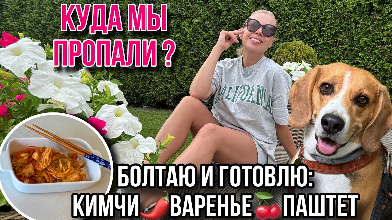 ГДЕ МЫ БЫЛИ? БОЛТАЮ И ГОТОВЛЮ: быстрое кимчи, смородиновое варенье, паштет