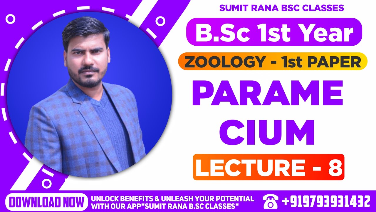 (Lt-08) PARAMECIUM Part-3 || B.Sc.1st Year Zoology