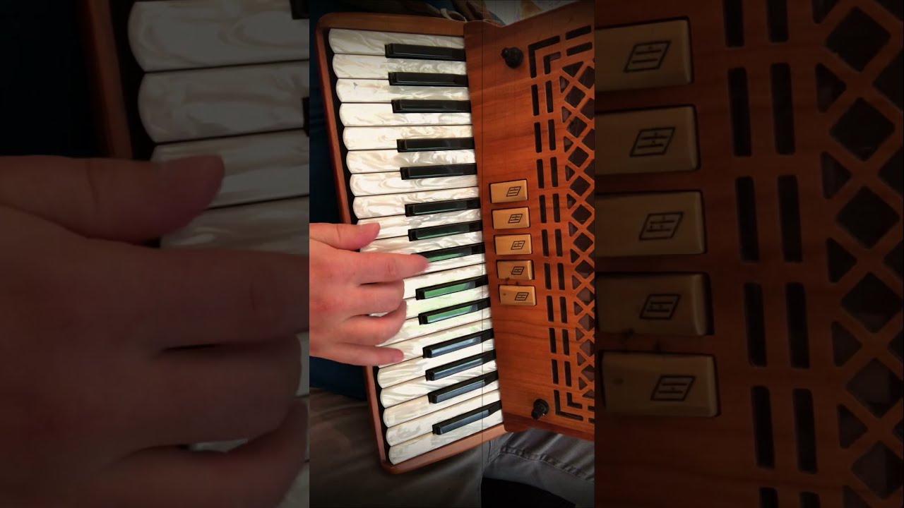 The Bag of Spuds - Irish Reel on Piano Accordion