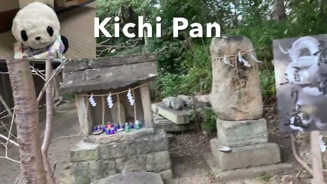 飯塚市鯰田にある皇祖神社⛩️