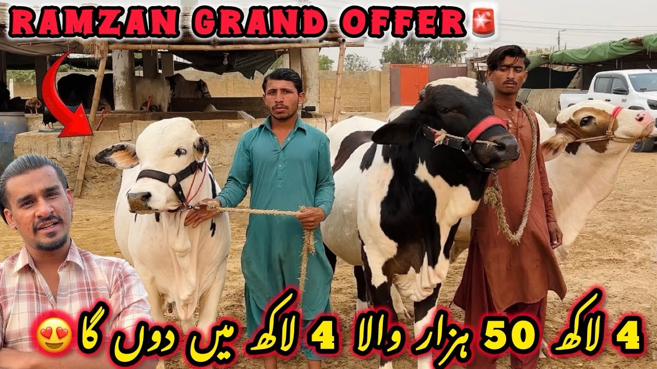 Ramzan Grand Offer😍| Asad Bhai Ne Dil Khush Kardiya Qurbani 2026 Ki Mid Range Collection🔥|