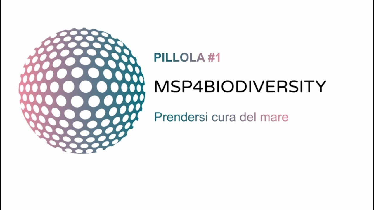 Programma NBFC. Pillole di conoscenza. 01 – Introduzione