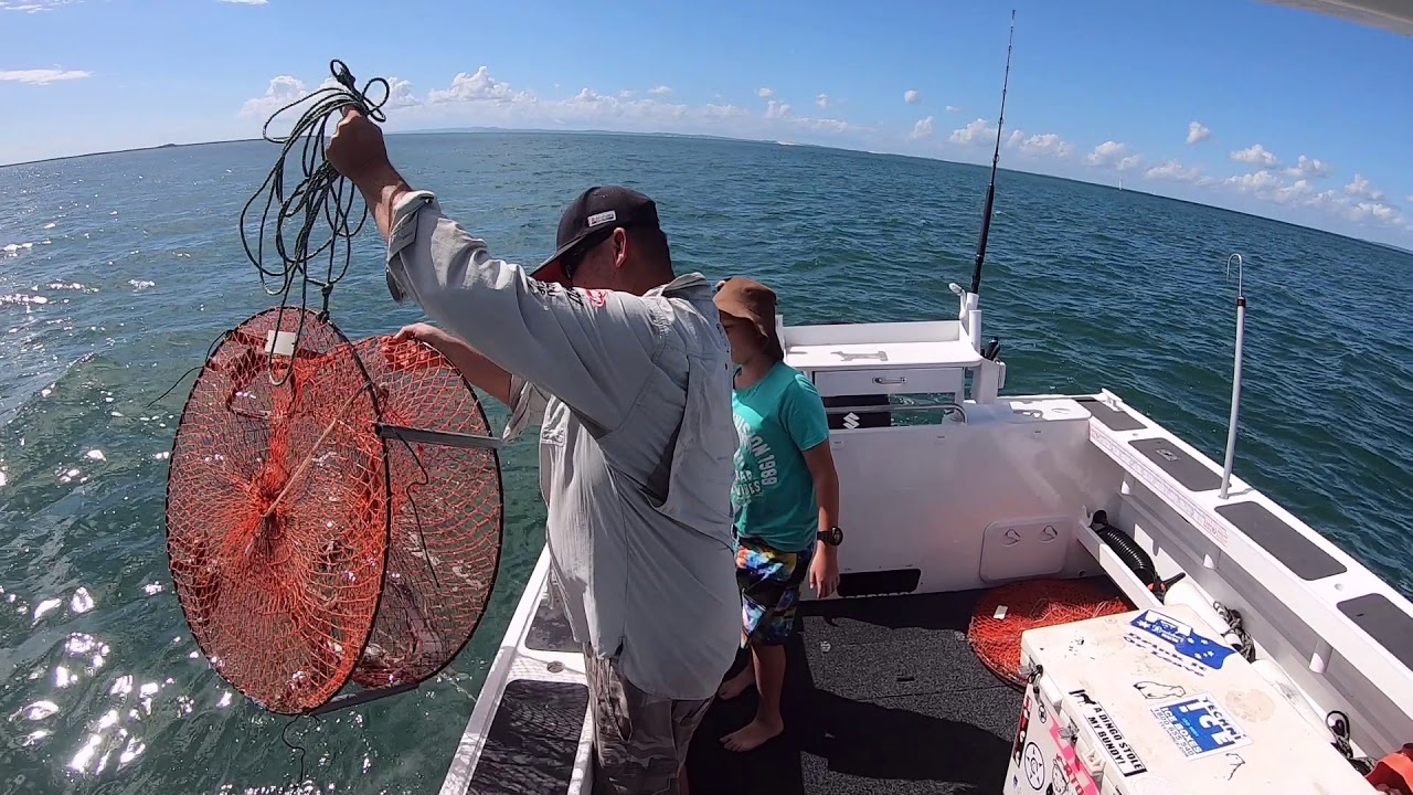 MORETON BAY SANDCRAB