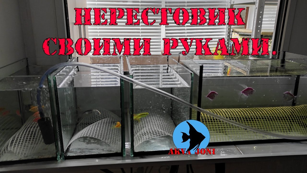 Нерестовик своими руками.
