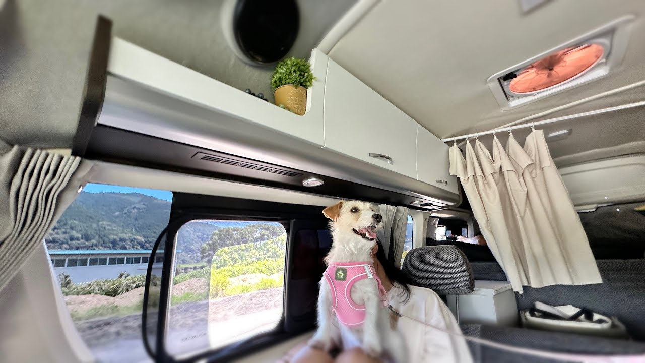 家族全員でドライブと車中泊にこゆちゃんも大満足の夏休みでした。トイズボックス540