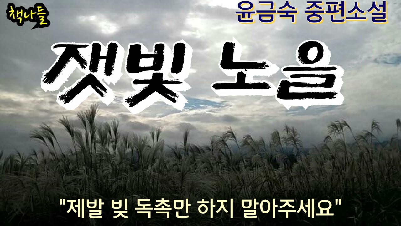 도화살이 끼었다는 점쟁이 말에 시어머니는...| 잿빛 노을 | 윤금숙