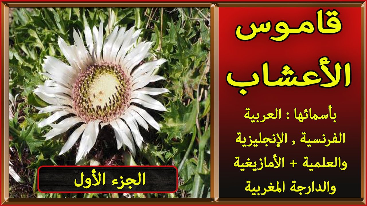 قاموس الأعشاب الجزء 01