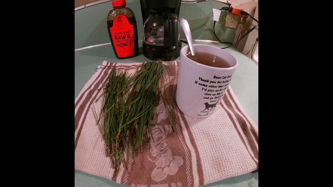 Super Tea Packed With Vitamin C And A, Plus So Much More And Its Free!