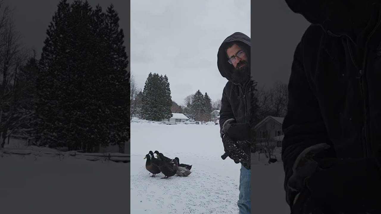 On frozen pond...