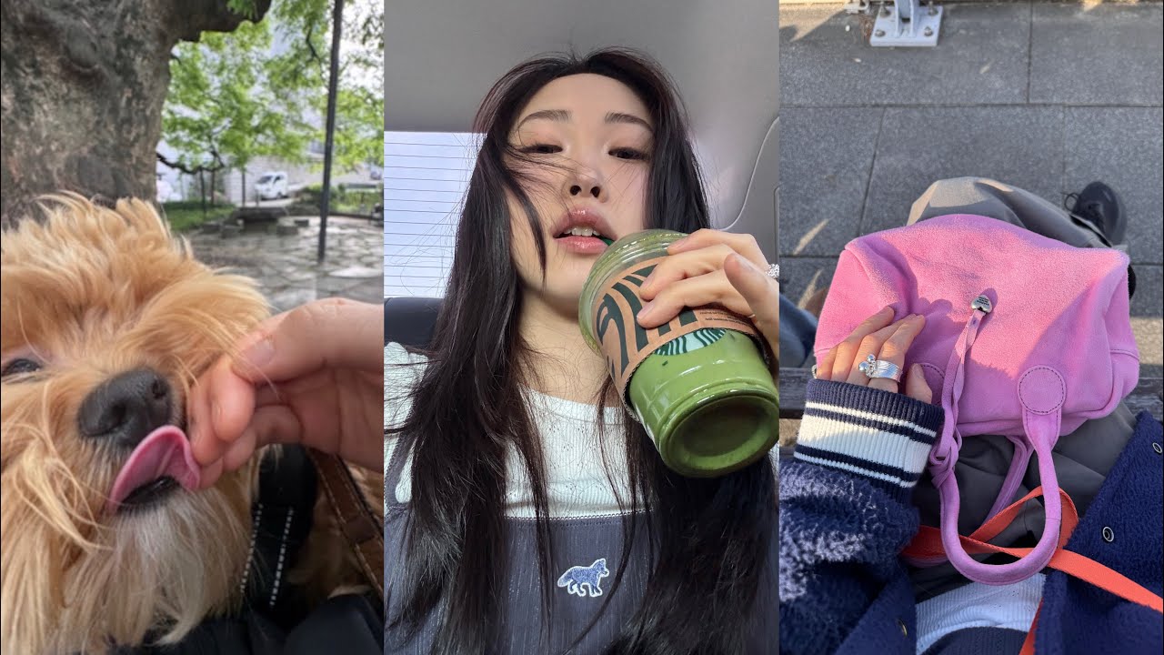 나들이 나간 날 미니병 완치