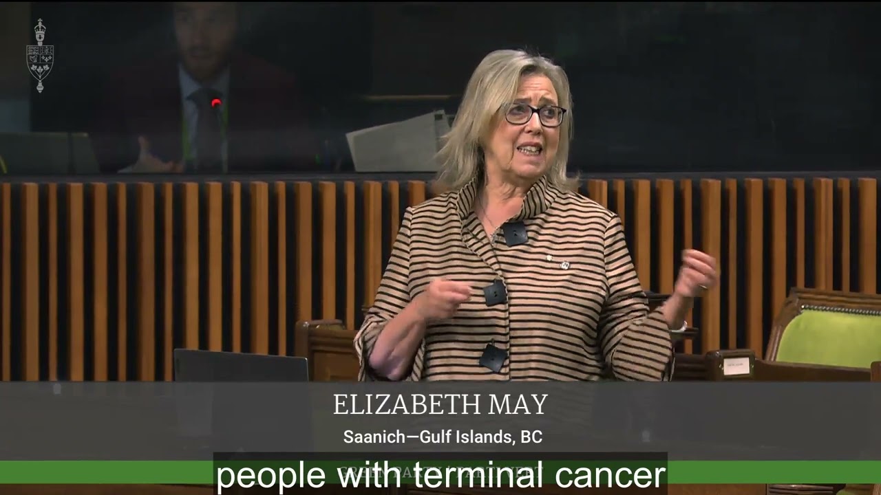 Elizabeth speaks on medical assistance in dying when mental illness is the sole underlying condition