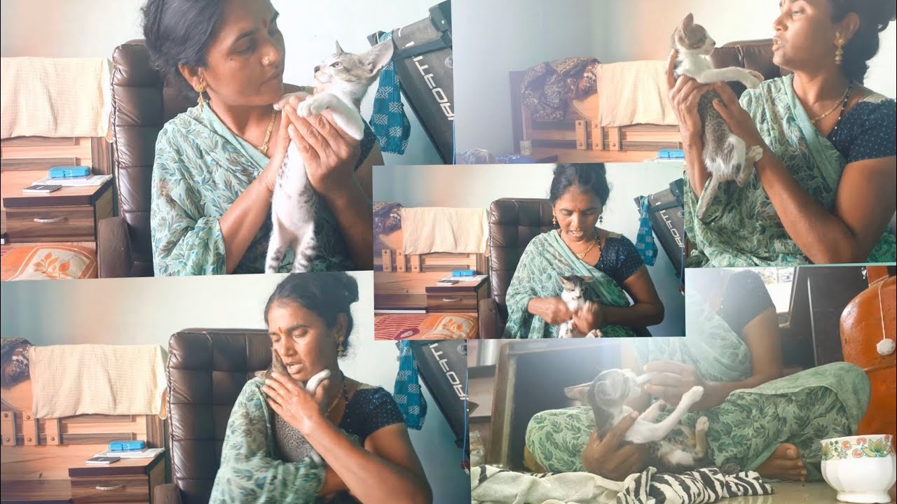 आमच्या चिटकु ची मम्मी नाही म्हणून चिटकु सगळं घरभर काय पसरवते चिटकु खूप आघाव आहे जेव्हा त्या घरभर 