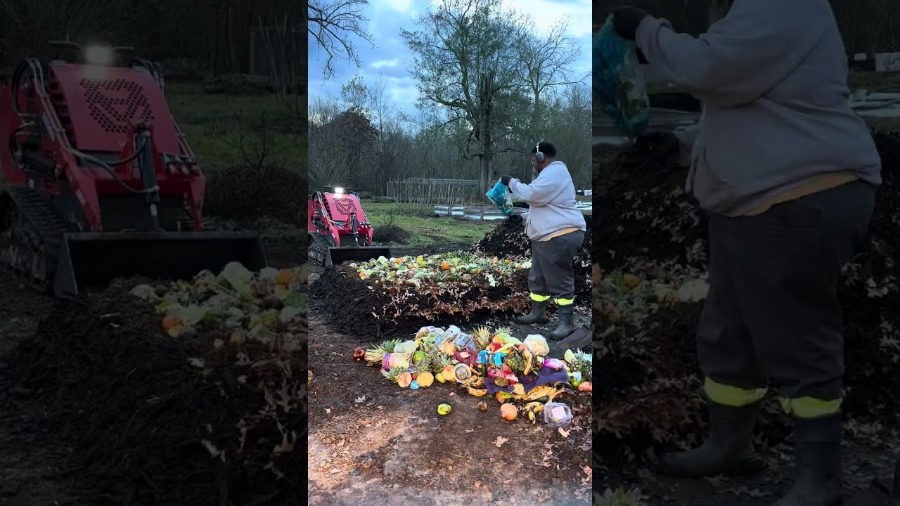 Let’s make some compost