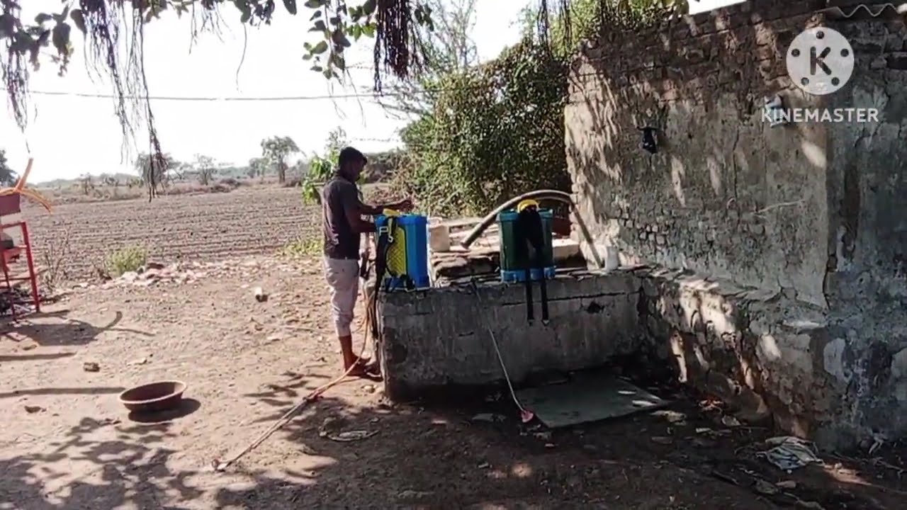 Davai chidkaw Jira me वीडियो पूरा देखलो क्या होता है l