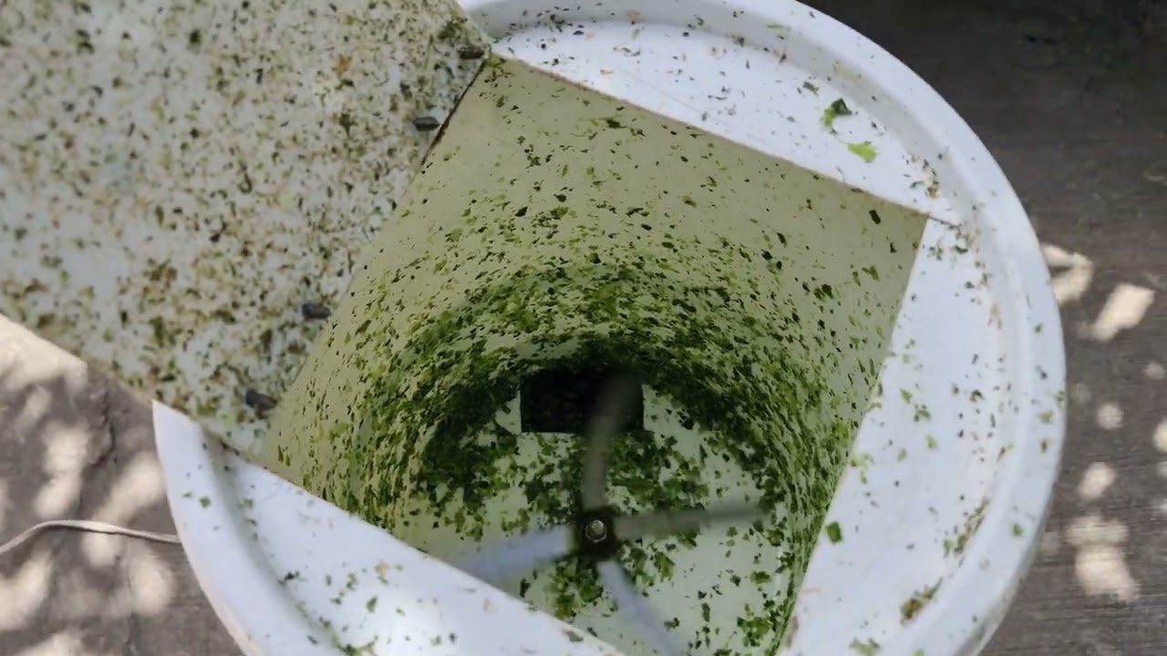 Bumili tayo ng Forage Chopper/Gilingan ng gulay!Magkano at saan? #freerangechickenfood #tipidtips