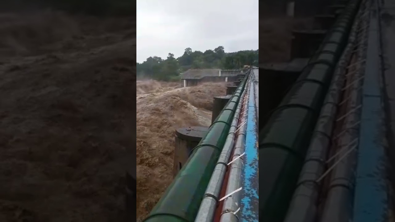kosi River flood Ramnagar , Uttrakhand #kosiriver #Uttrakhand #Ramnagar #flood #livenews #River