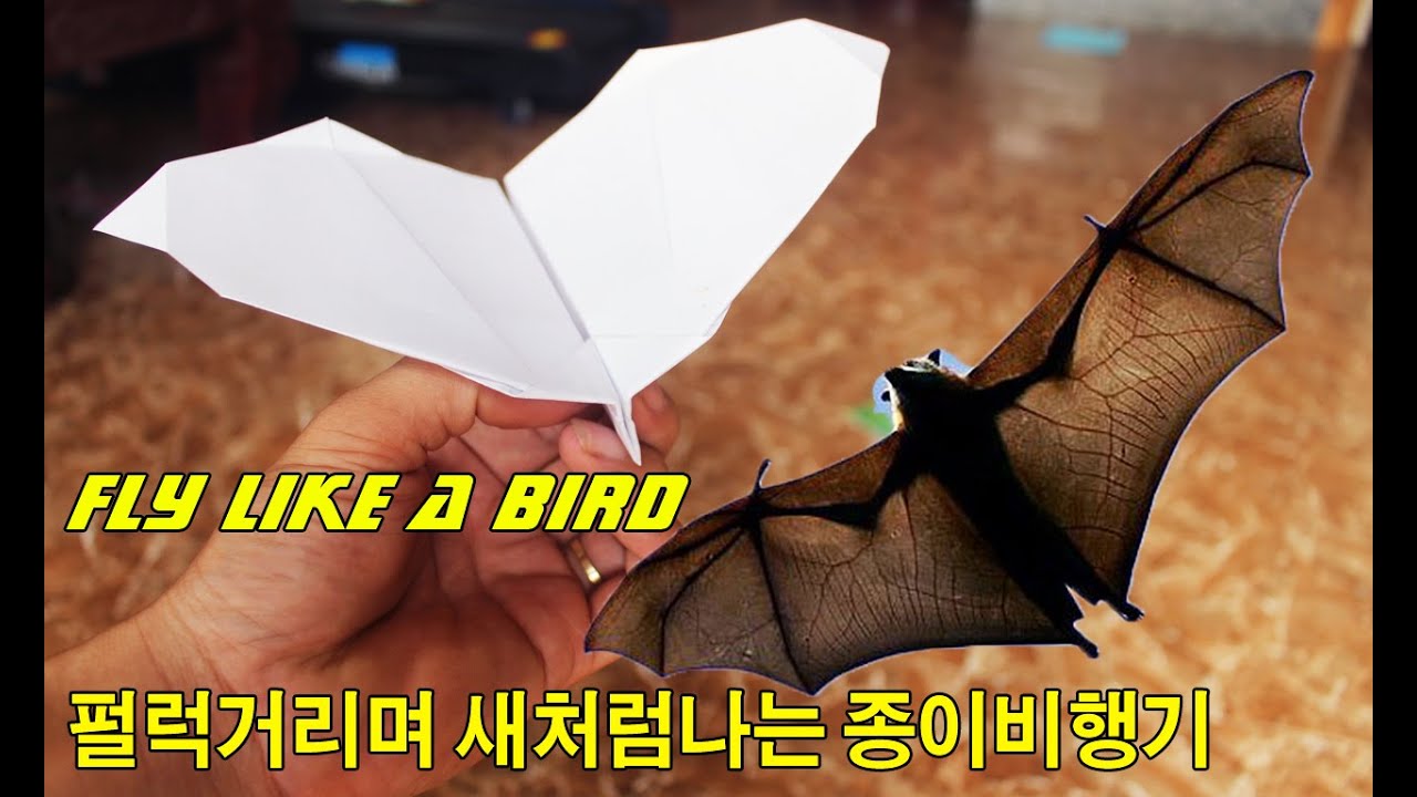 펄럭거리며 새처럼나는 종이비행기, 종이비행기 접기, Paper airplane that flies like a bird