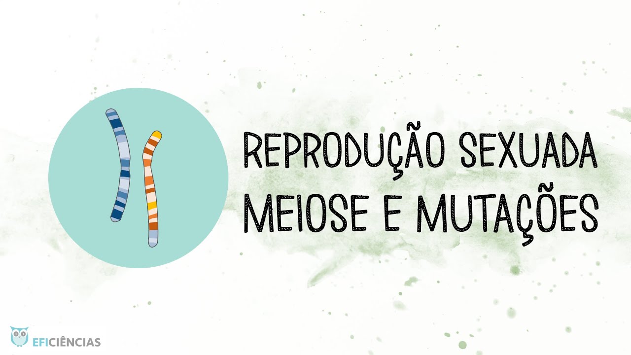 Reprodu&ccedil;&atilde;o sexuada - Meiose e muta&ccedil;&otilde;es - Biologia e Geologia 11&ordm;ano