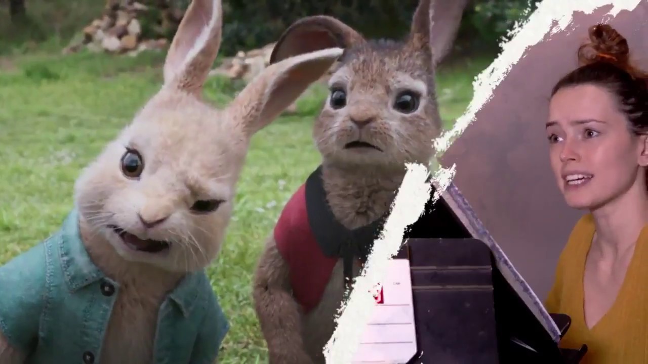 daisy ridley voicing Cotton Tail for Peter Rabbit