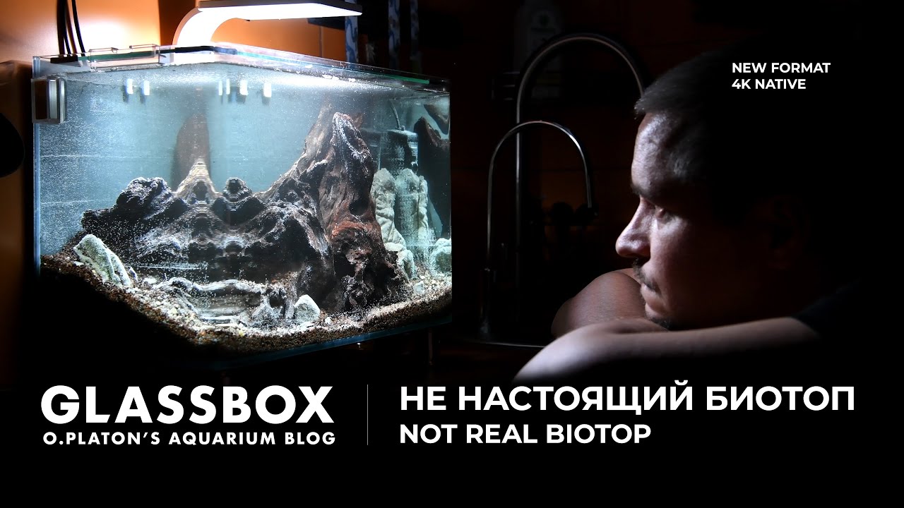 НЕ настоящий биотоп. Not real biotop. Glassbox