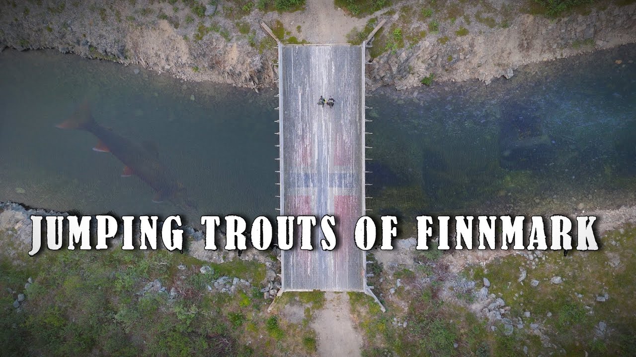 Jumping trouts of Finnmark - Fishing in northern wilderness [ENG SUB]