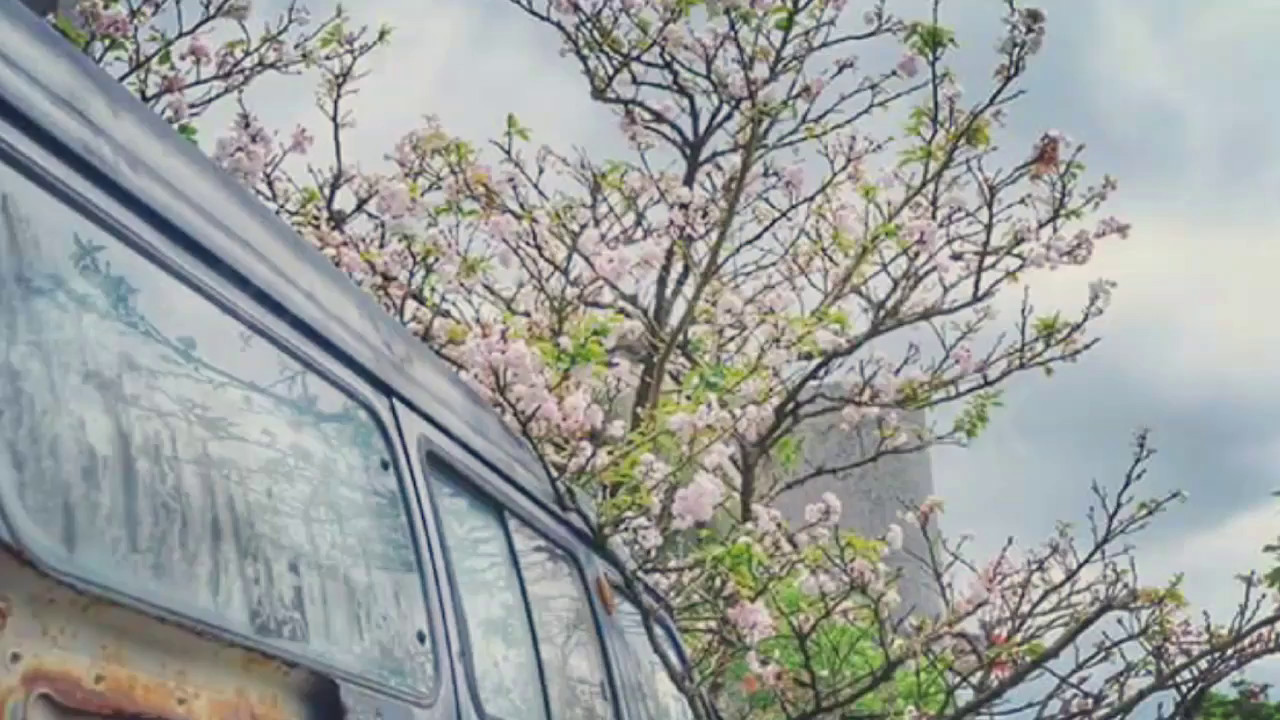 Day Trip to Yangmingshan National Park